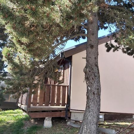 Chalet De L Ours Bolquere Pyrenees 2000 المظهر الخارجي الصورة