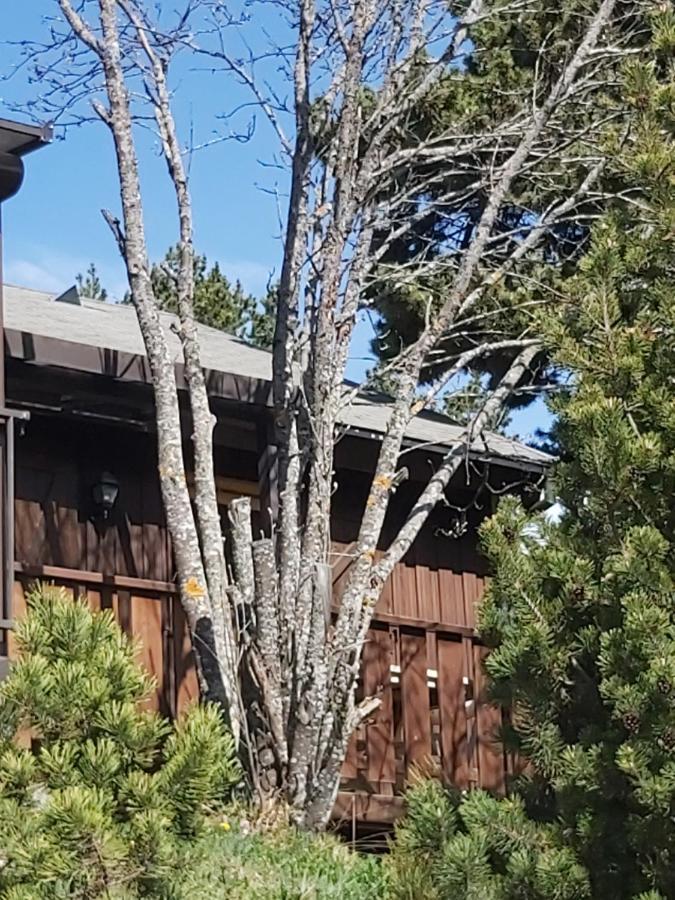 Chalet De L Ours Bolquere Pyrenees 2000 المظهر الخارجي الصورة