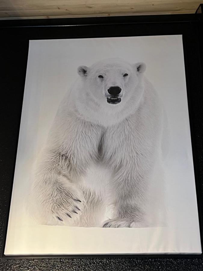 Chalet De L Ours Bolquere Pyrenees 2000 المظهر الخارجي الصورة
